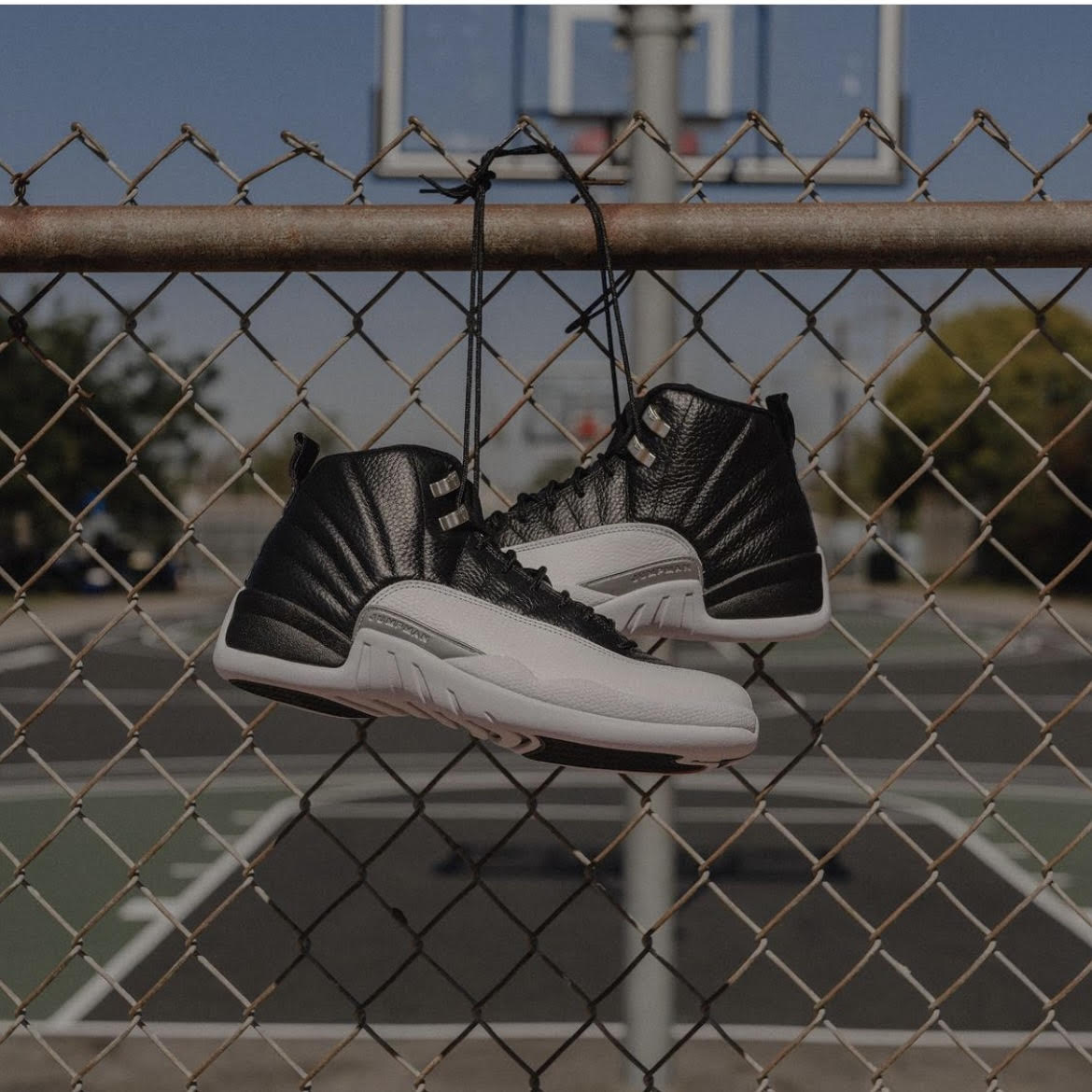 Jordan 12 playoffs 2019 Clearance