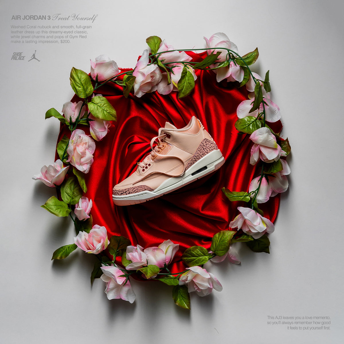 jordan 3 shoe palace