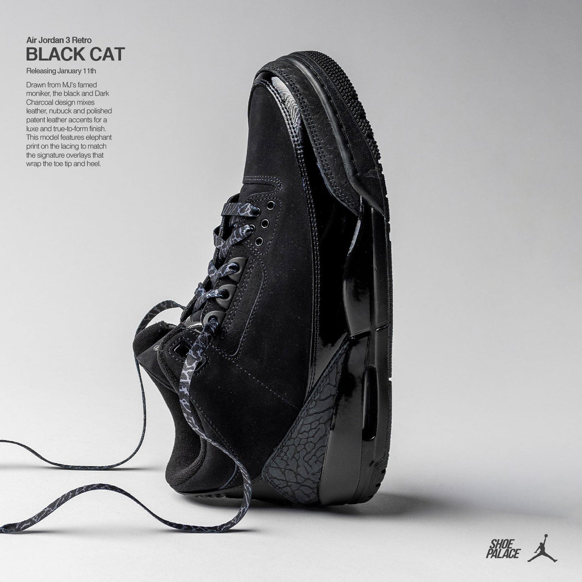 Air Jordan Retro 'Black Cat' – Shoe Palace