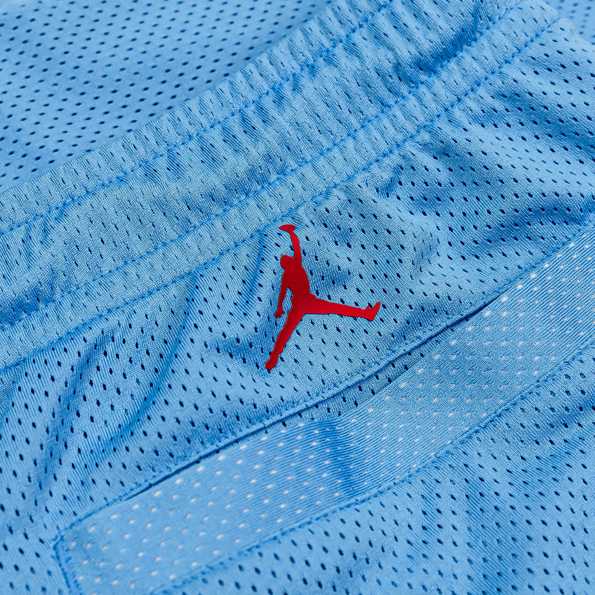 Jordan Arist Series x Darien Birks Mens Shorts Blue HF5474-462