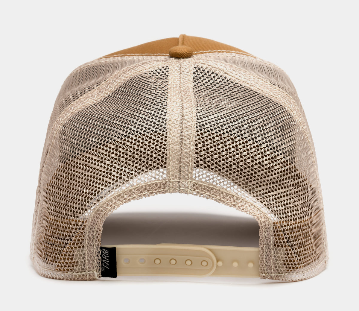 5b25585e336afb7be5d54d2b696a65