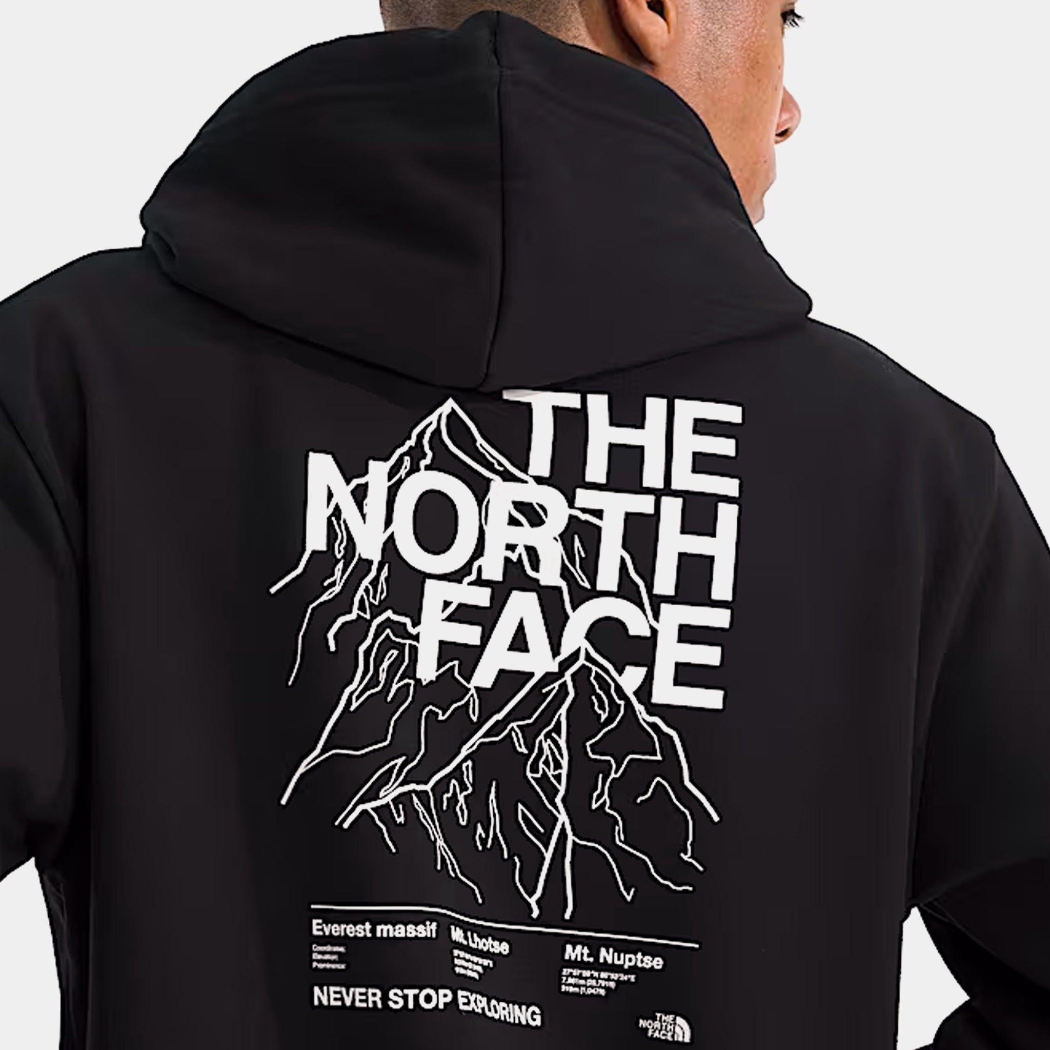 The North Face Evolution Half Dome Graphic Pullover Mens Hoodie 
