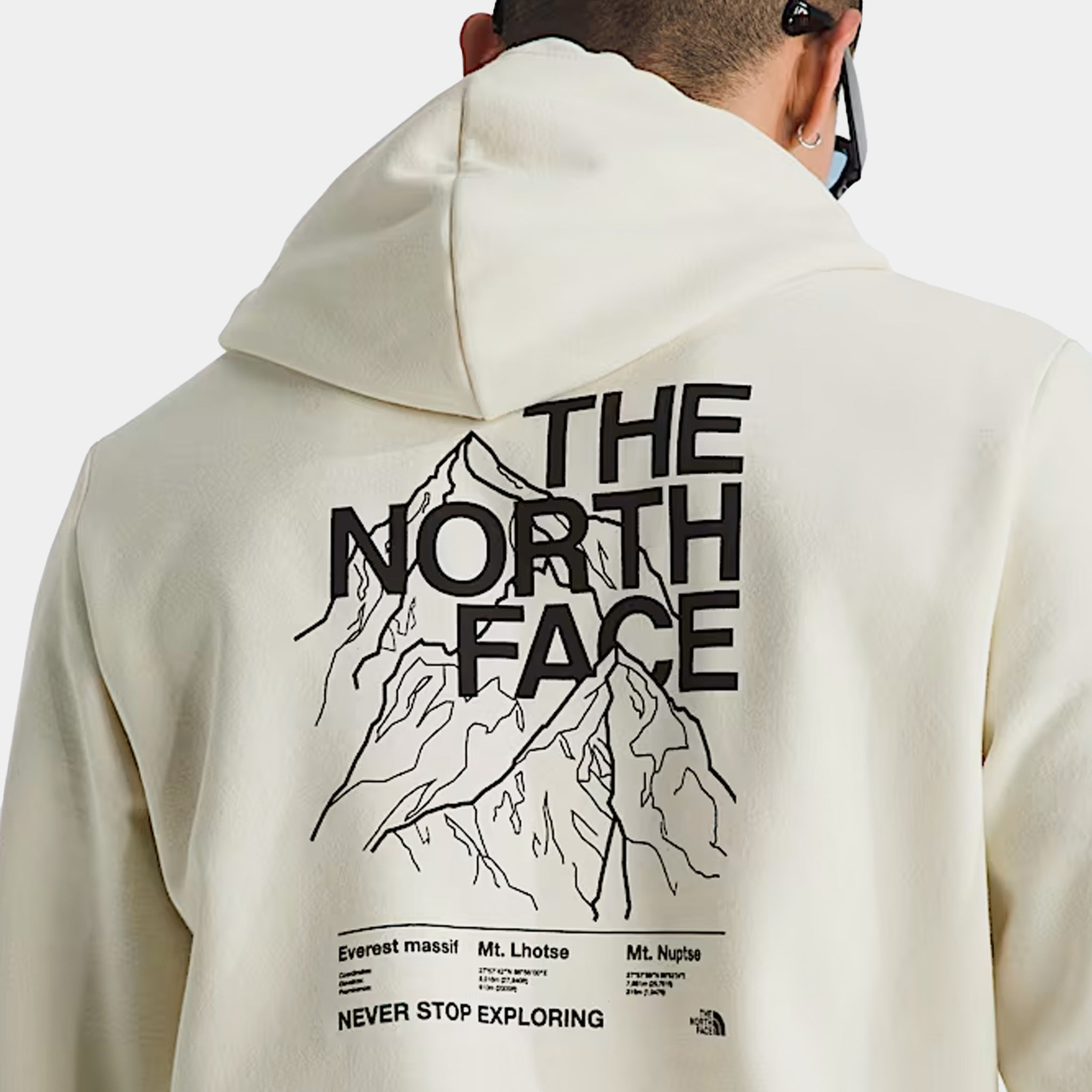 The North Face Evolution Half Dome Graphic Pullover Mens Hoodie 