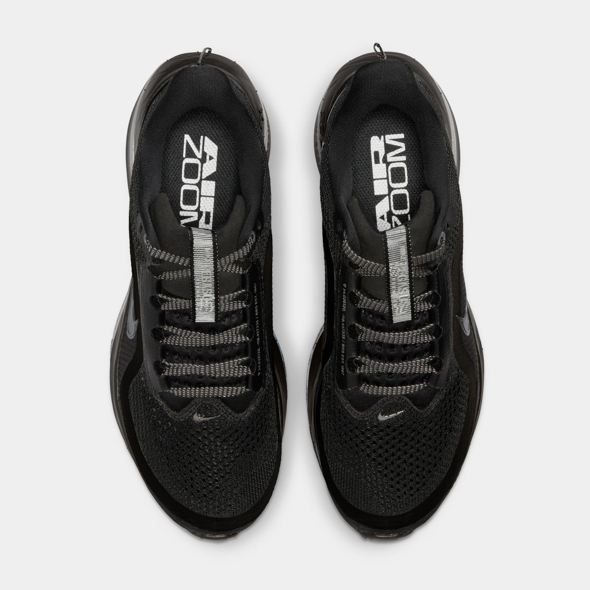 Nike Pegasus Premium Iridescent Black Nike Pegasus Premium  main image 2