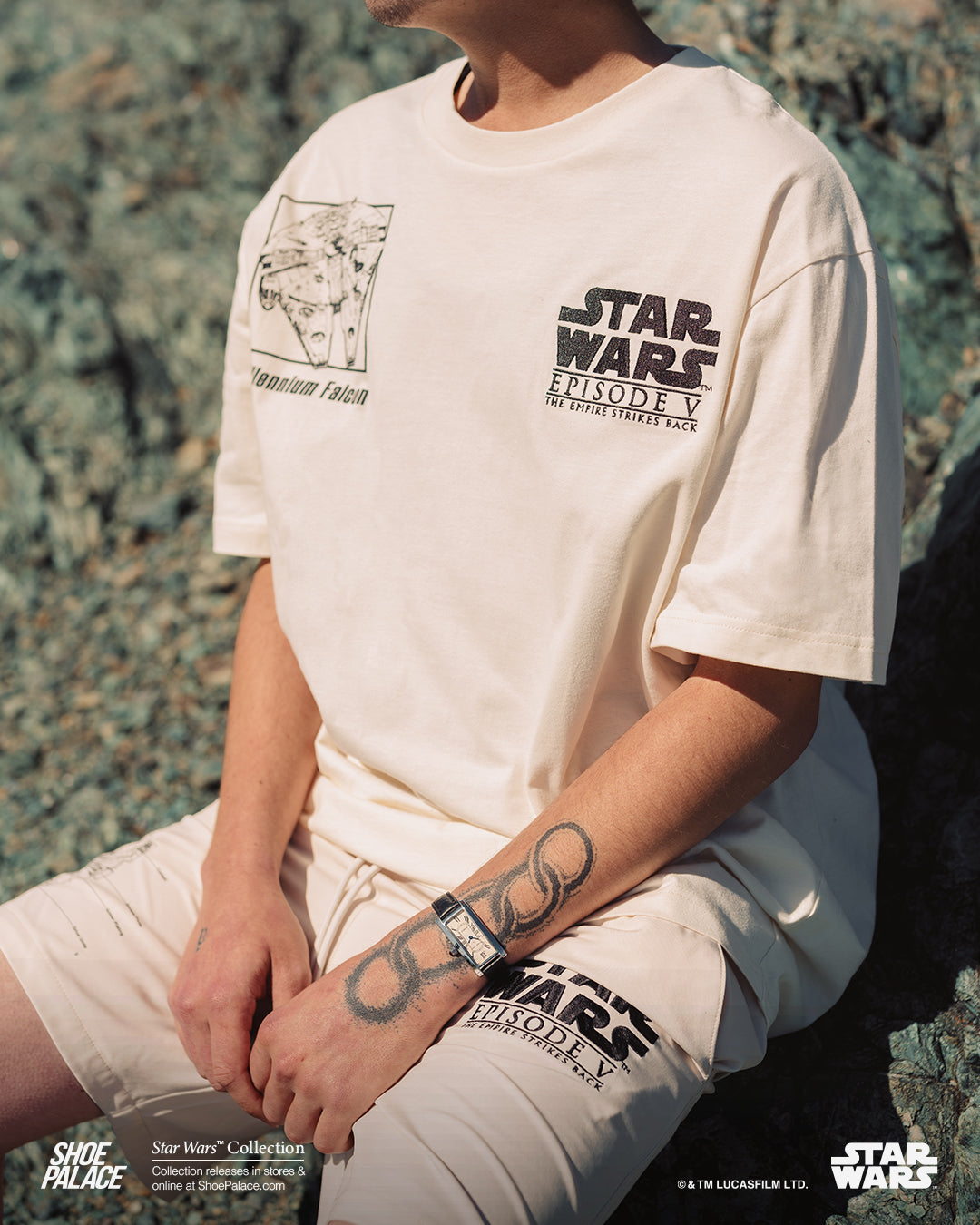 n*p様 TWS ソウルコン JERSEY ユニフォーム Mジフントレカ イルツ n*p様 TWS ソウルコン JERSEY ユニフォーム Mジフントレカ